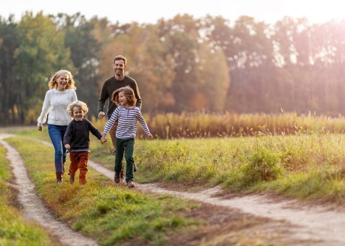 adobestock 502891300